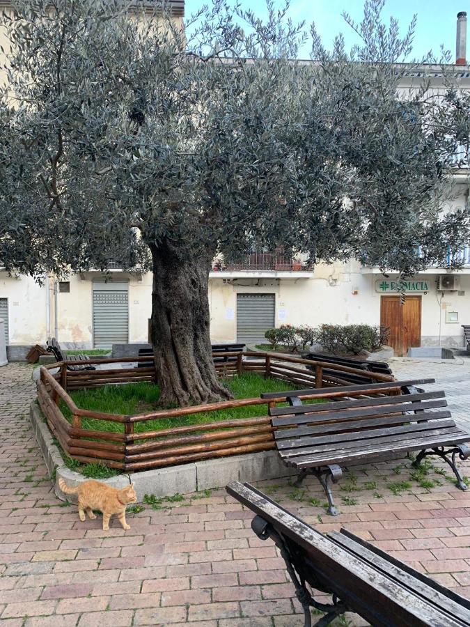 B&B Il Vicoletto Olevano sul Tusciano Exterior foto